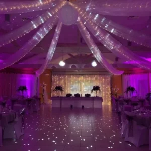 Tenture pour plafond Organza