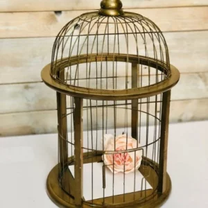 cage-a-oiseau-doree