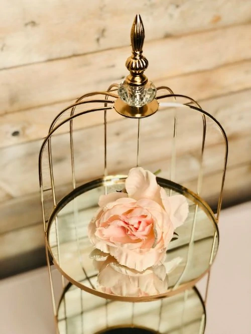 Cage dorée – Image 3