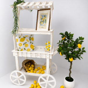 Chariot Candy Bar en bois blanc